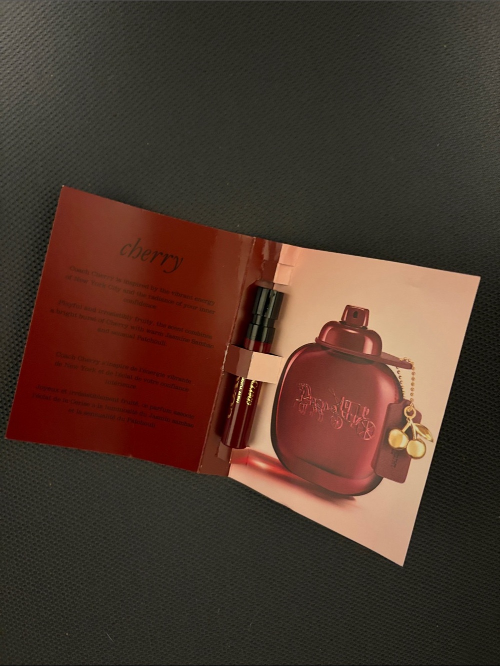 Coach Cherry Sample mini